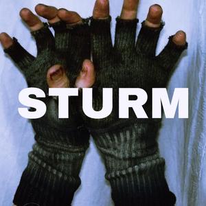 STURM (Sped Up)