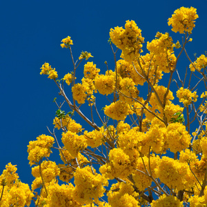 다시만나 반가워