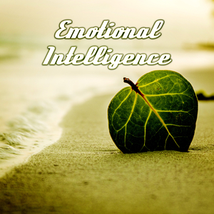 Emotional Intelligence
