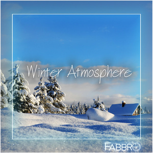 Winter Atmosphere