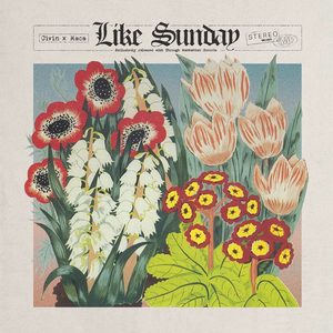 Like Sunday