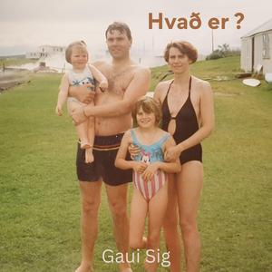 Hvað er