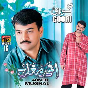 Piyara Pardeesi Suhna Pardeesi