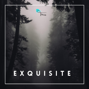 Exquisite