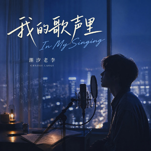我的歌声里