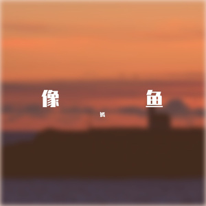 像鱼