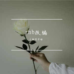 一样的月光rnb