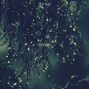 温和风暴梦想