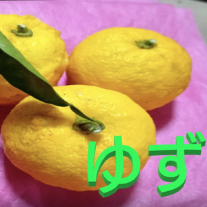 ゆず