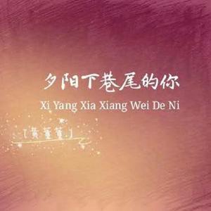 夕阳下巷尾的你