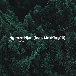Ngenze Njan