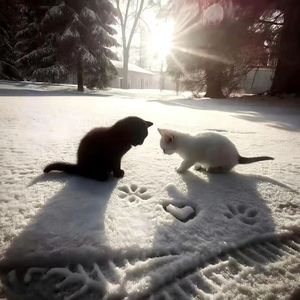 爱?爱!(Prod.by Lisure)