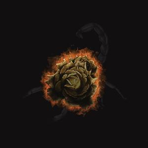 天蝎（Scorpion） 伴奏