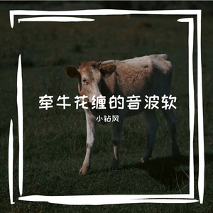 澈僚痛舜斩街侵蠢蔚