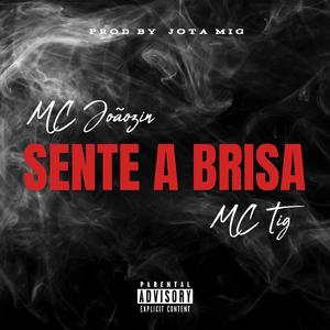 MC Joãozin - Sente A Brisa (feat. MC Tig)
