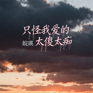 只怪我爱的太傻太痴