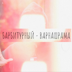 Варнашрама