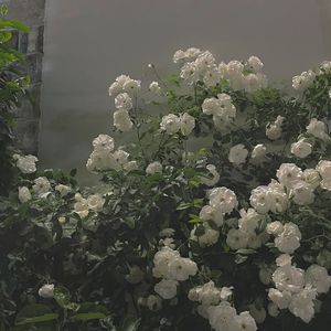 烟花和天空邂逅