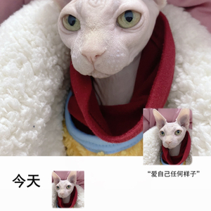 歌名：你到底不爱我