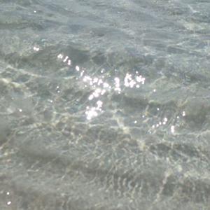 美好（cover.谢震廷）