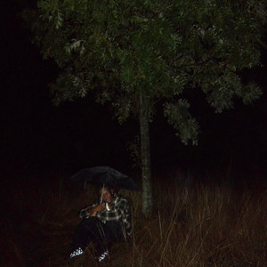 grow into the blossoms