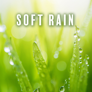 Eternal Storm Within