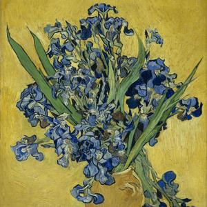 色差(Prod EVOMUSIC )