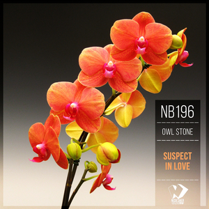 Do You Believe (Original Mix)