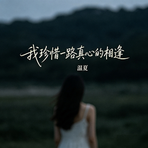 我珍惜一路真心的相逢