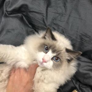 set-DJ Okay 2020-2021 other set（Okay-S remix）