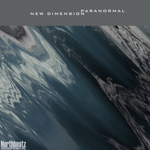 New Dimension (Original Mix)