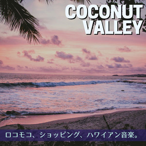 Traveling on the Beach