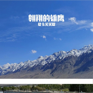 翱翔的老鹰 伴奏