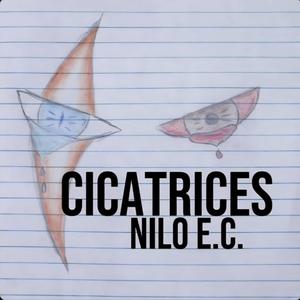 Cicatrices