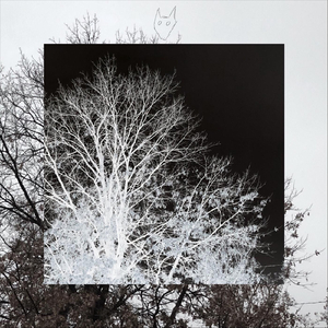 Hurt Slave (feat. Crook)