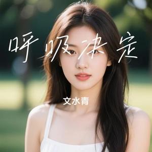 呼吸决定 (Cover Fine乐团)