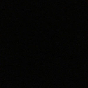 逃亡的社会活动家 demo