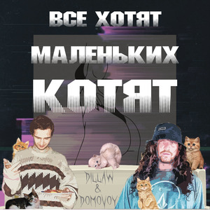 Все хотят маленьких котят