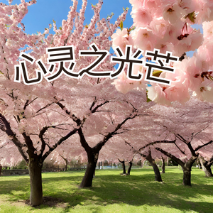 心灵之光芒