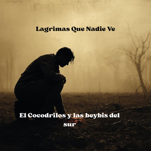 Lagrimas Que Nadie Ve