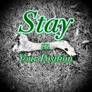 Stay in Your Position (feat. Pablo plexippus)