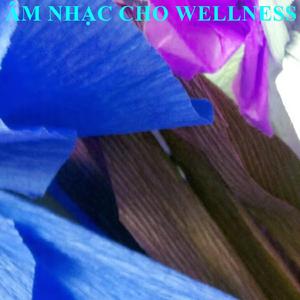 Âm Nh?c Cho Wellness