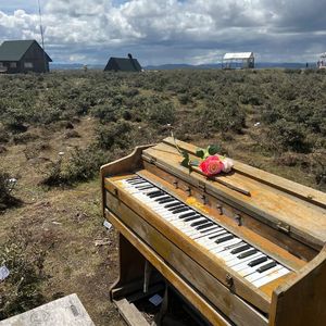 [FREE]''水浇不灭野火'' 顶级艺术氛围感伴奏 Asen Type Beat