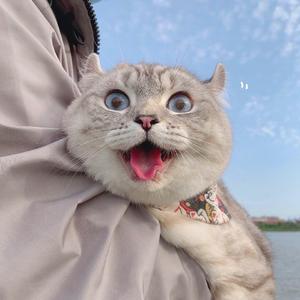 Tim Maia-Sossego（A终遇你 remix）