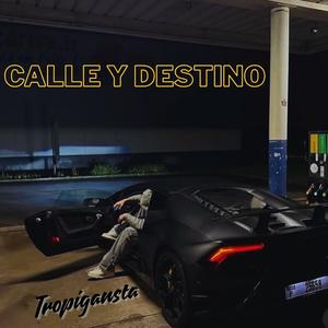 Calle y Destino