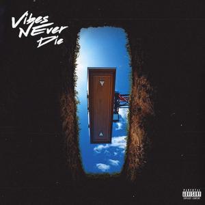 Vibes Never Die (feat. Mike Squires)