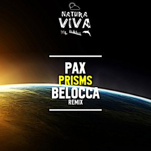 Prisms (Original Mix)