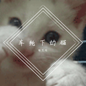 车轮下的猫
