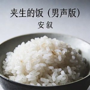 夹生的饭（男声版）