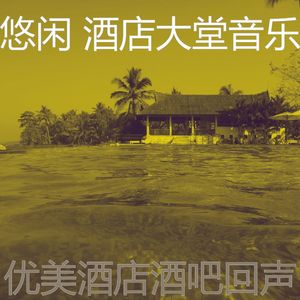 抚慰的酒店酒吧回忆